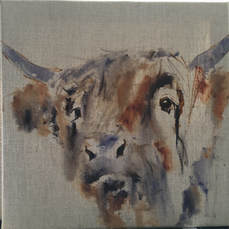 Underpainting cow Louise Luton