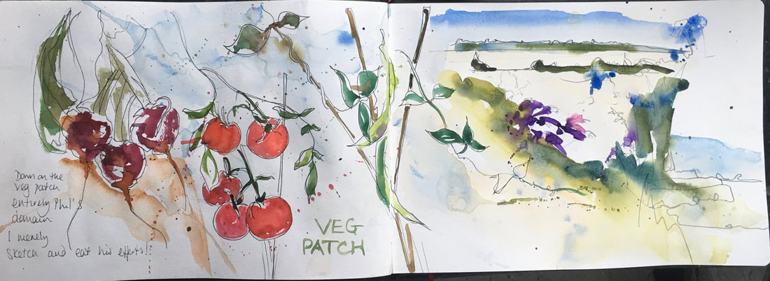 My sketchbook on the vegetable patch