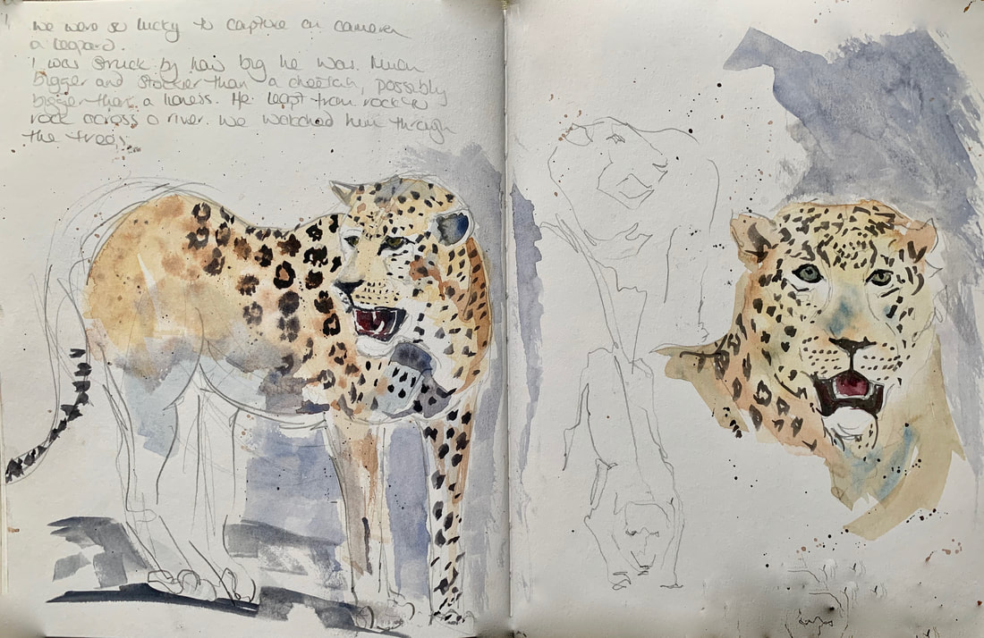 leopard sketch
