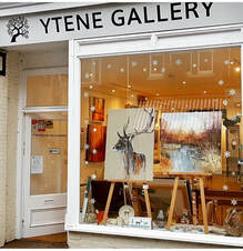 Ytene gallery in Brockenhurst