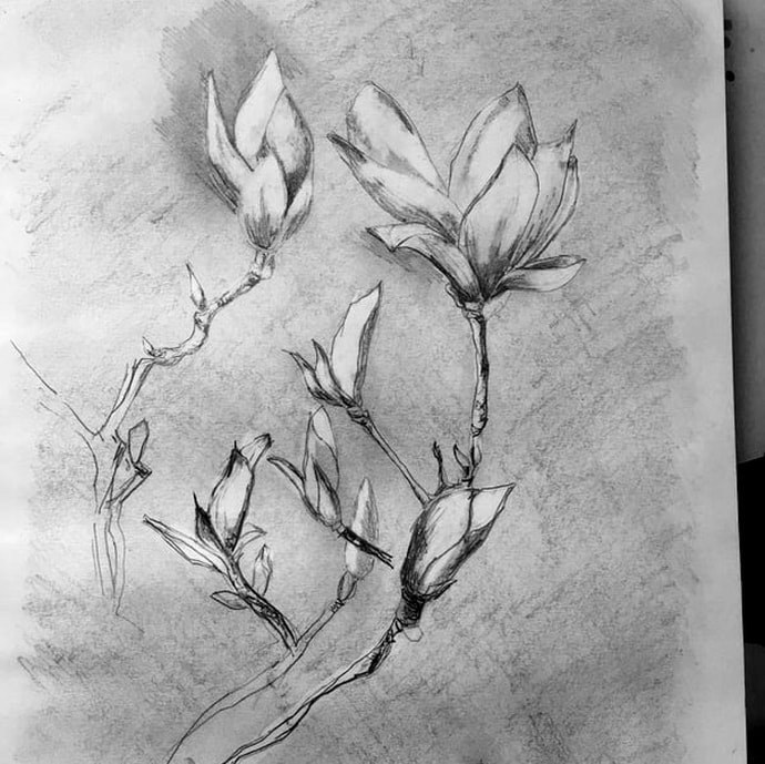 Louise Luton sketchbook page. Magnolia tree.